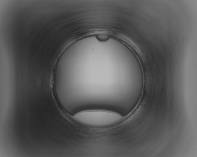 X0000101231377200806270936