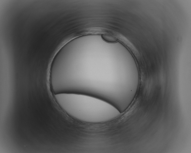 X0000101231378200806270936