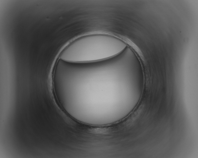 X0000101231380200806270936
