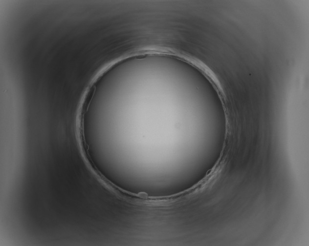 X0000101231381200806270936