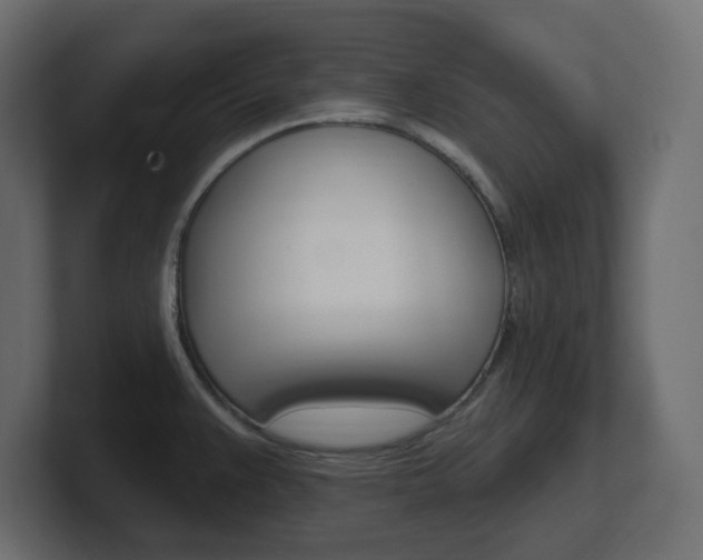 X0000101231383200806270936
