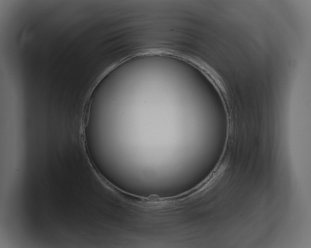 X0000101231385200806270936