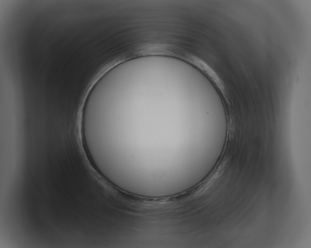 X0000101231386200806270936