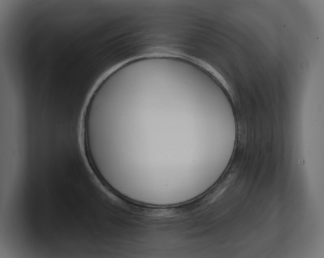 X0000101231387200806270936