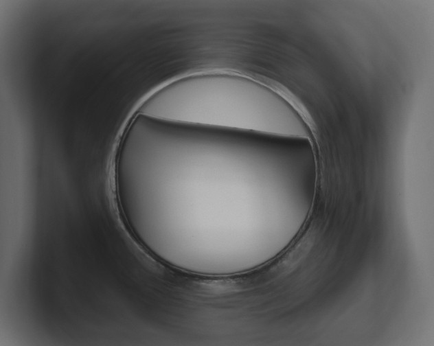 X0000101231388200806270936
