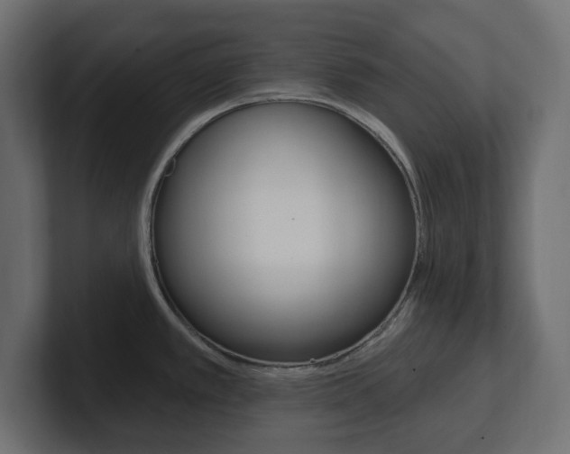 X0000101231389200806270936