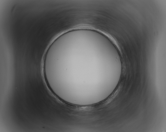 X0000101231390200806270936