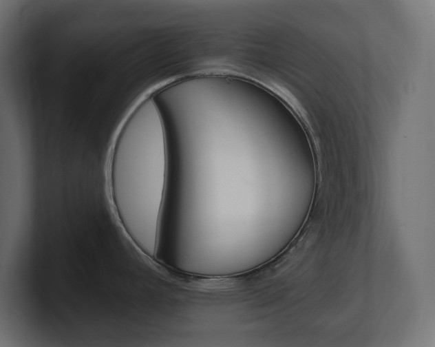 X0000101231392200806270936