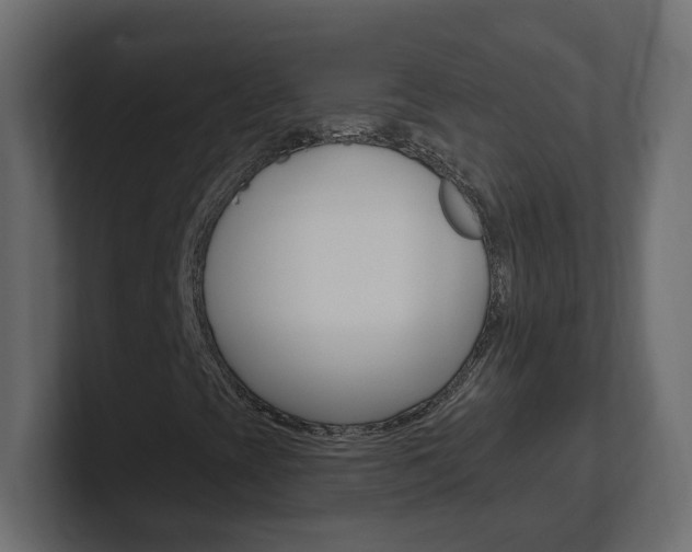X0000101231393200806270935