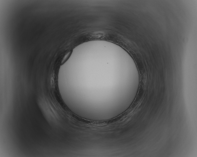 X0000101231394200806270935