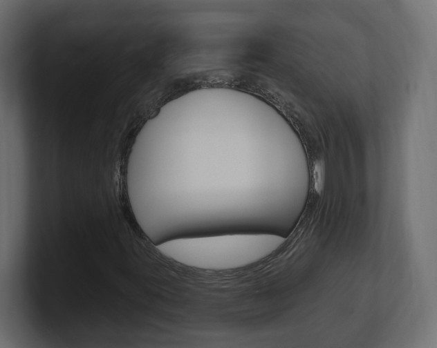 X0000101231395200806270935