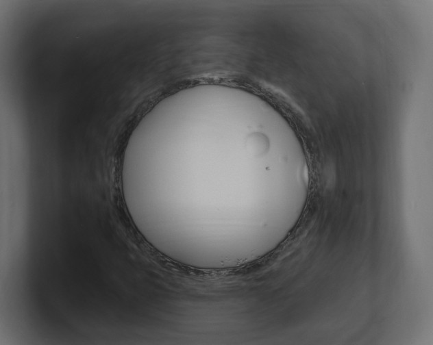 X0000101231399200806270936