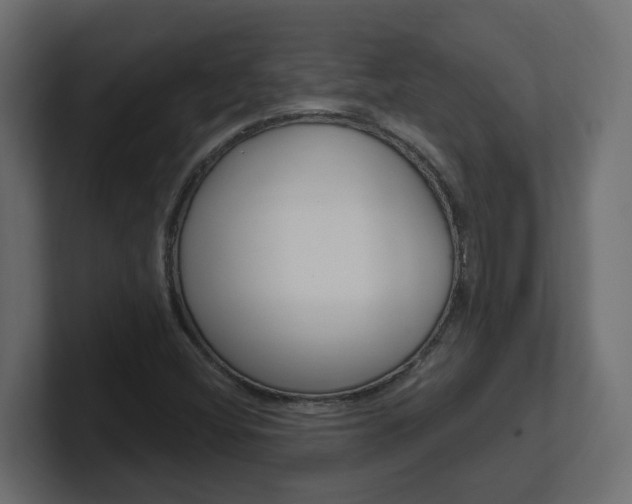 X0000101231404200806270936