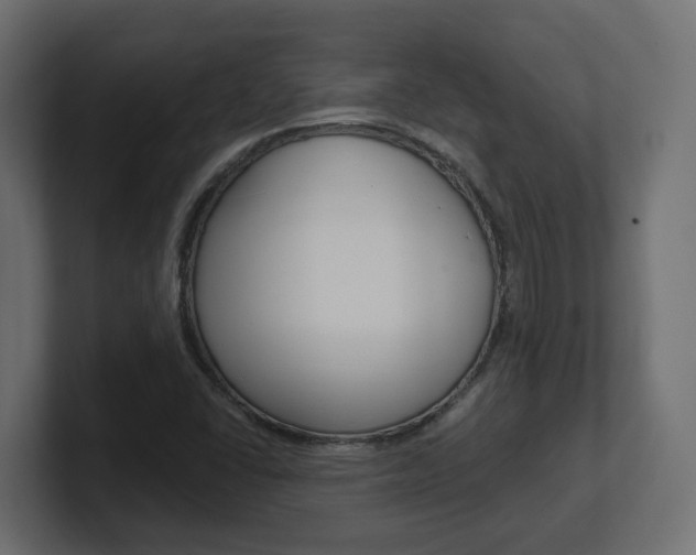X0000101231406200806270936