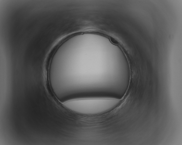 X0000101231414200806270936