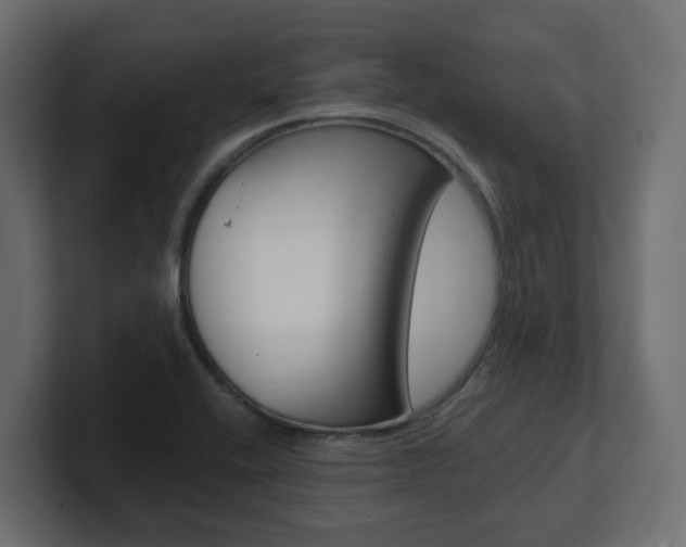 X0000101231416200806270936