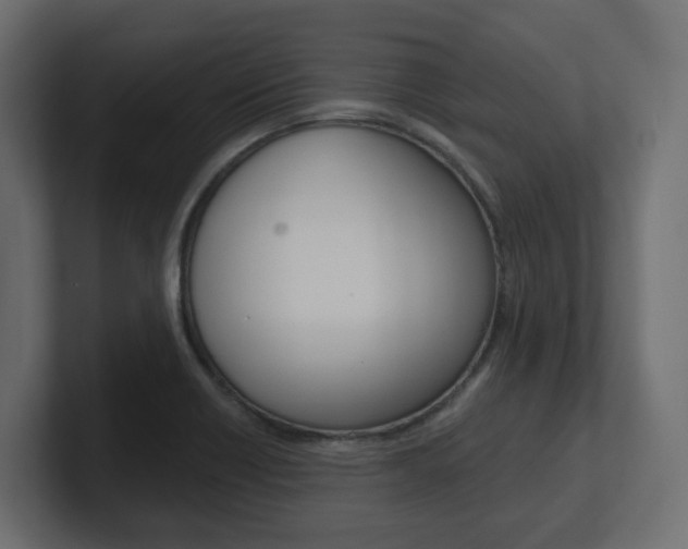 X0000101231418200806270936