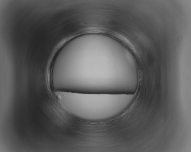 X0000101231419200806270936