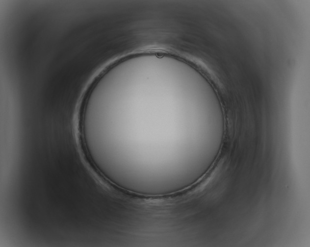 X0000101231422200806270936