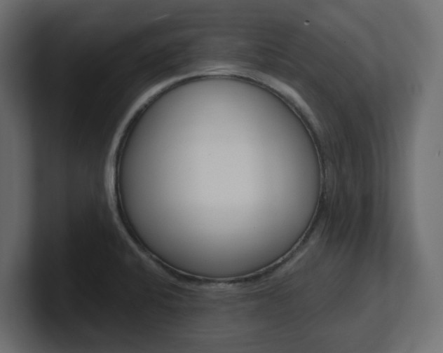 X0000101231424200806270936