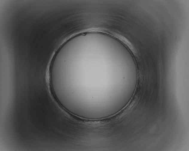 X0000101231428200806270936