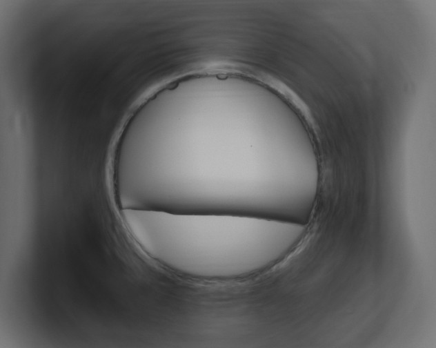 X0000101231429200806270936