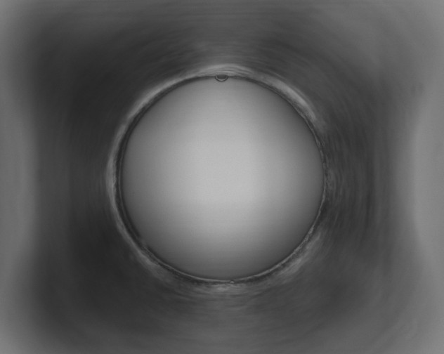 X0000101231430200806270936
