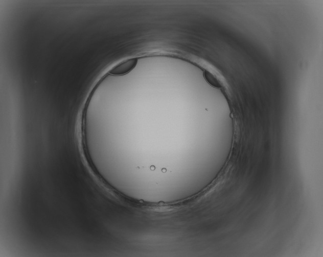 X0000101231431200806270936