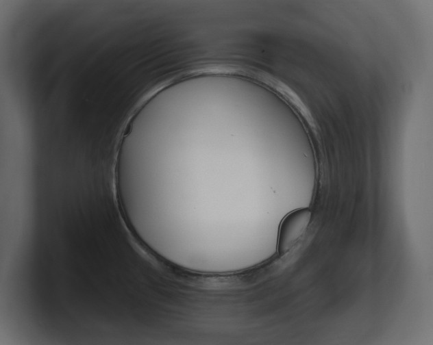 X0000101231433200806270936