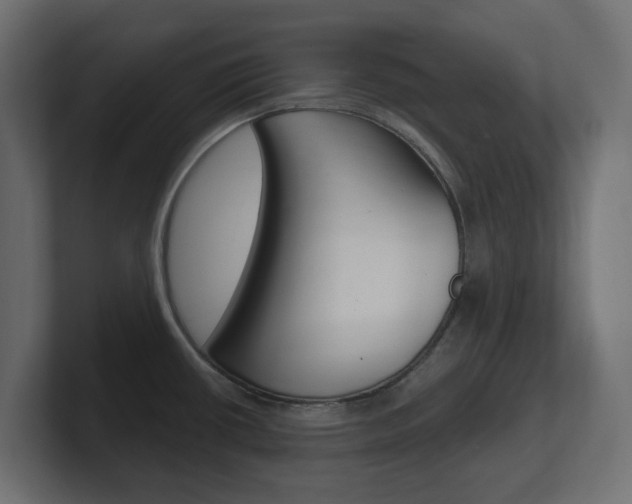 X0000101231434200806270936