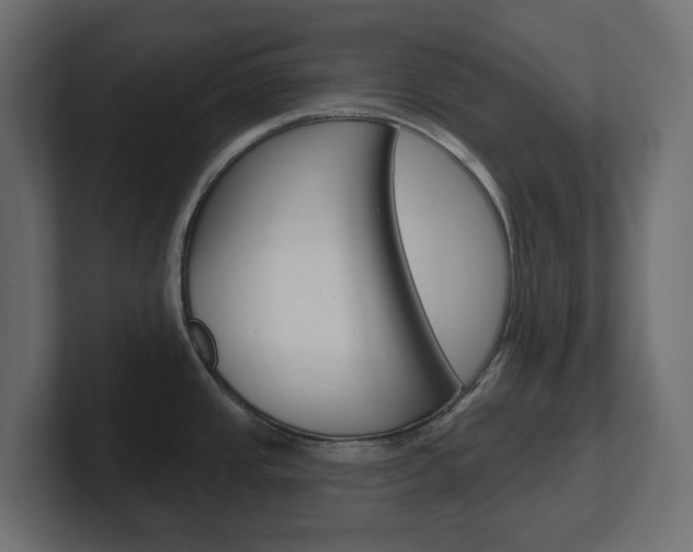 X0000101231437200806270936