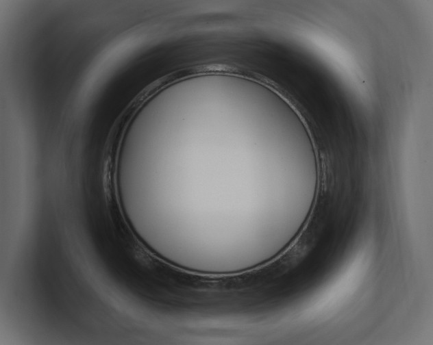 X0000101231438200806270936