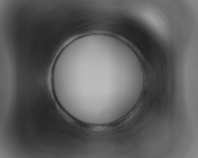 X0000101231439200806270936