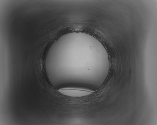 X0000101231442200806270935