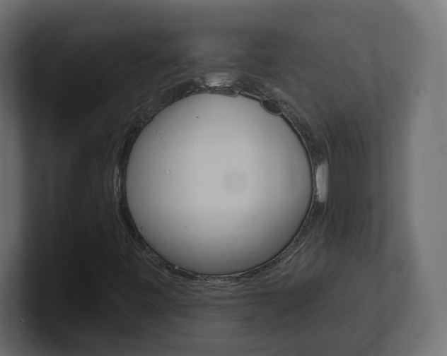 X0000101231443200806270935
