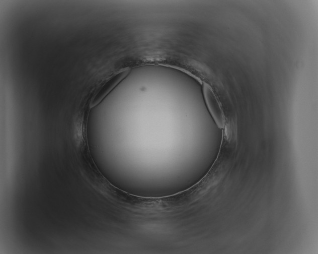 X0000101231444200806270935