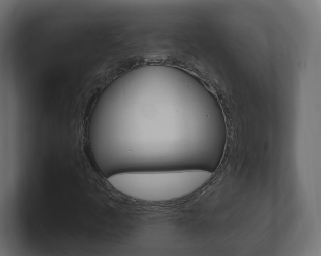 X0000101231445200806270935