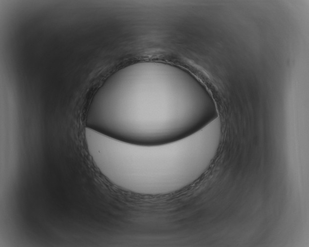 X0000101231447200806270935