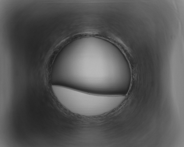 X0000101231448200806270935