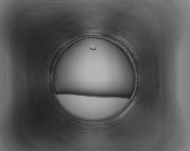 X0000101231449200806270935