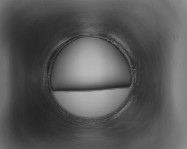 X0000101231453200806270935
