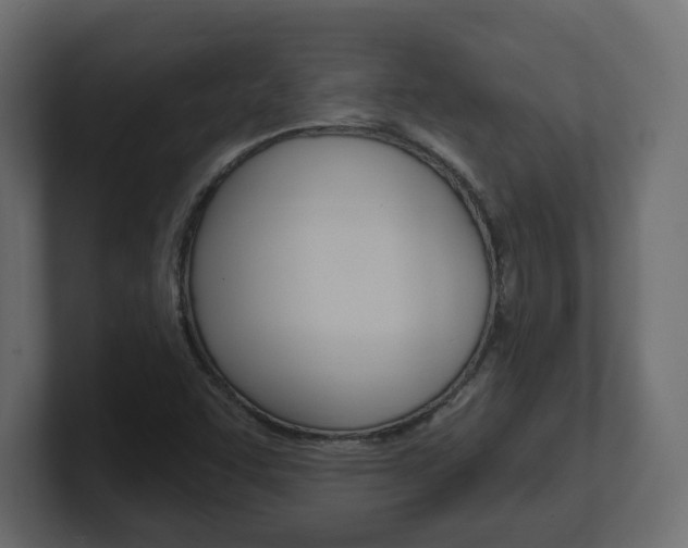X0000101231455200806270935