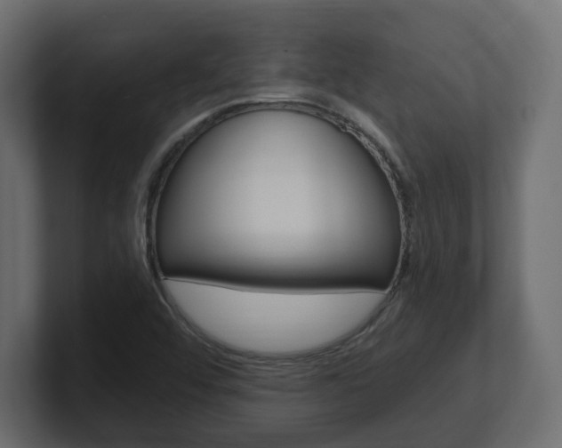 X0000101231456200806270935