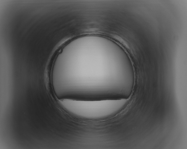 X0000101231458200806270935
