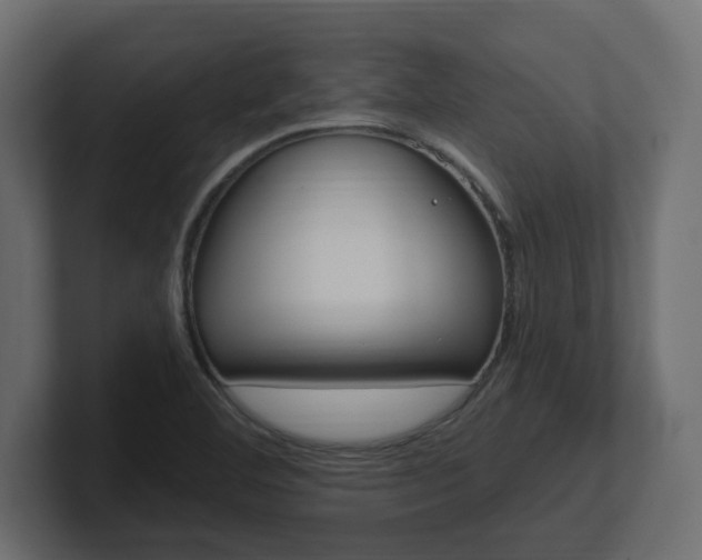 X0000101231460200806270935