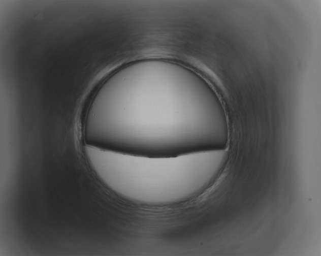 X0000101231461200806270935