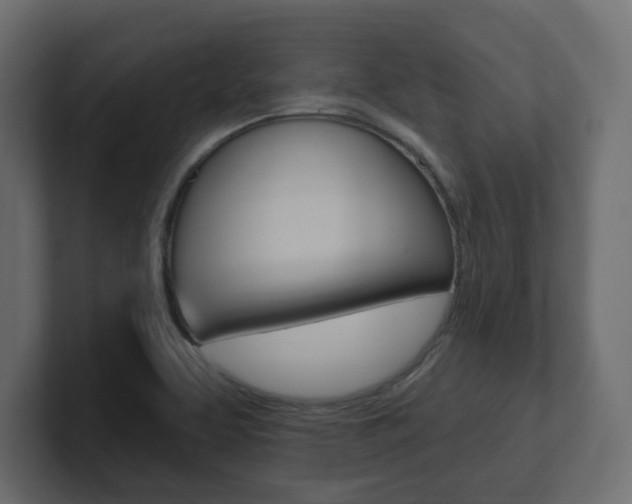 X0000101231463200806270935