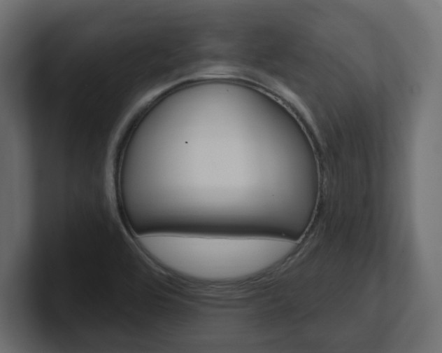 X0000101231464200806270935