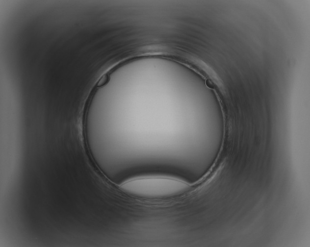 X0000101231465200806270935