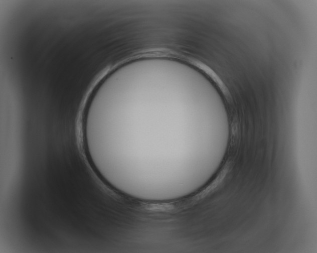 X0000101231466200806270935